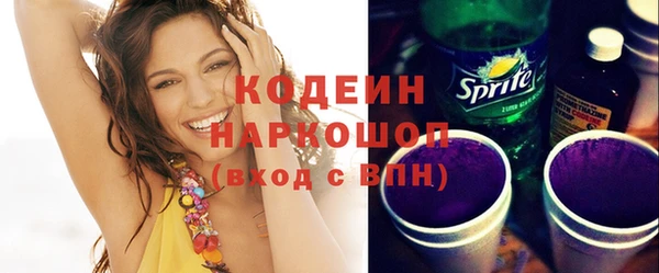 прущие грибы Вязьма