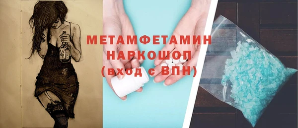 прущие грибы Вязьма