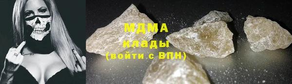 прущие грибы Вязьма