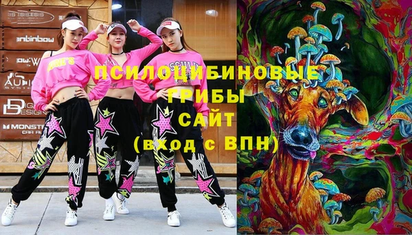 не бодяженный Вяземский