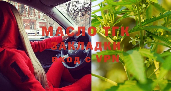 прущие грибы Вязьма