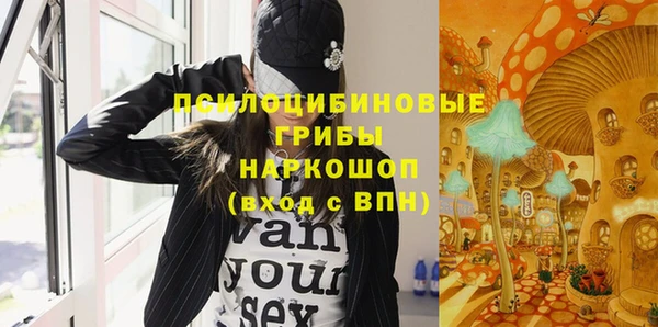 прущие грибы Вязьма