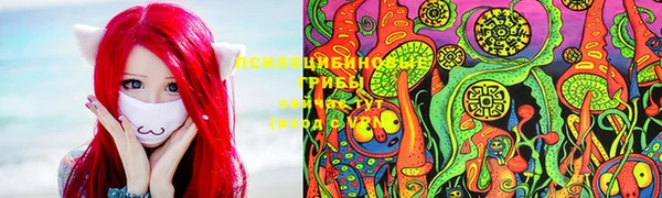 не бодяженный Вяземский