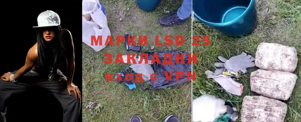 прущие грибы Вязьма