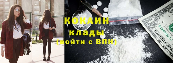 прущие грибы Вязьма