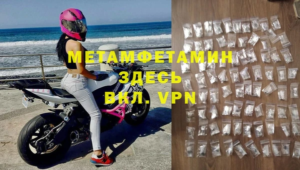 прущие грибы Вязьма