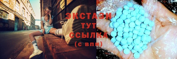 прущие грибы Вязьма