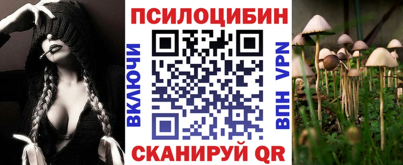 Псилоцибиновые грибы MAGIC MUSHROOMS сайты даркнета какой сайт Малаховка МЕГА tor
